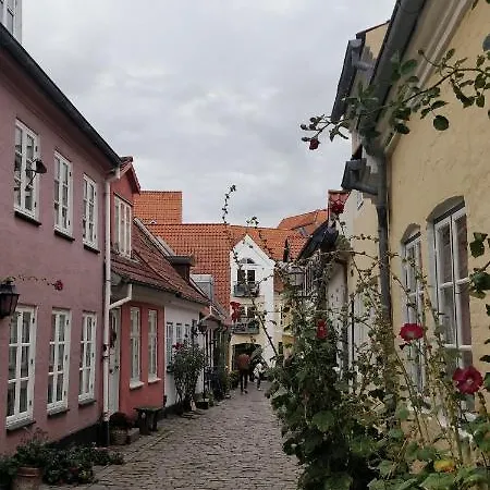 In The Heart Of * 奥尔堡